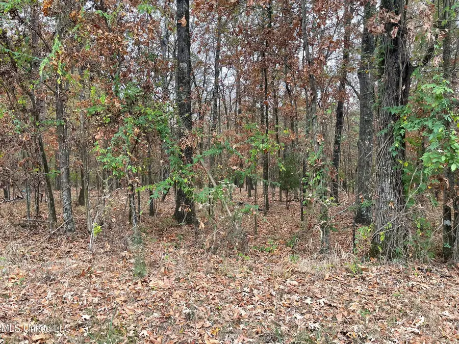 No Old Fannin Road, Jackson, MS 39232 - Image #3