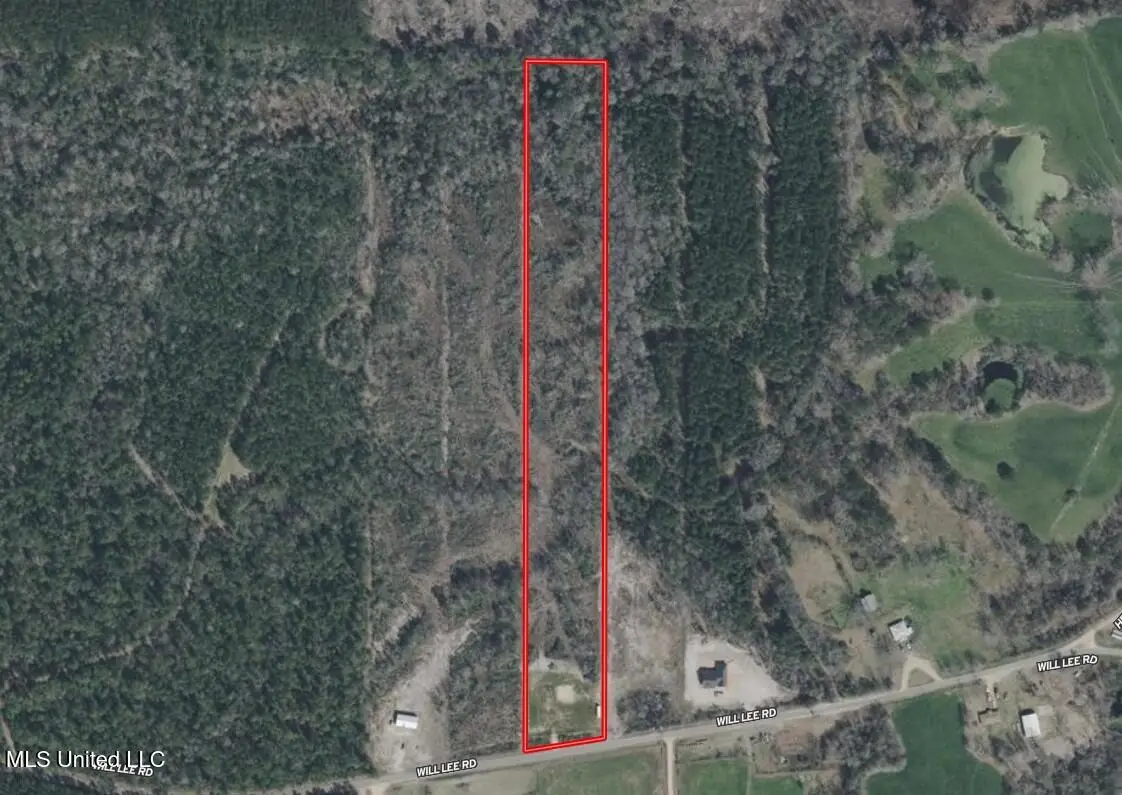 0 Will Lee Road, Lumberton, MS 39455 - Image #1