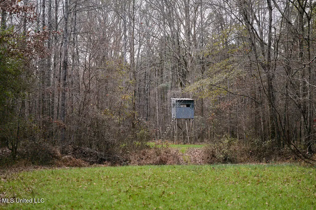 000 Maddox Road, Ackerman, MS 39735 - Image #1