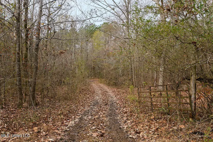 000 Maddox Road, Ackerman, MS 39735 - Image #2