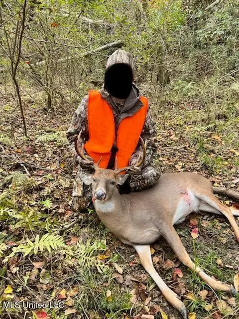 3032 Osyka Progress Road, Osyka, MS 39657