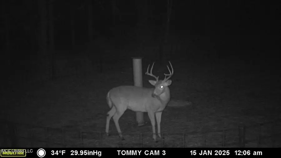 3032 Osyka Progress Road, Osyka, MS 39657 - Image #3