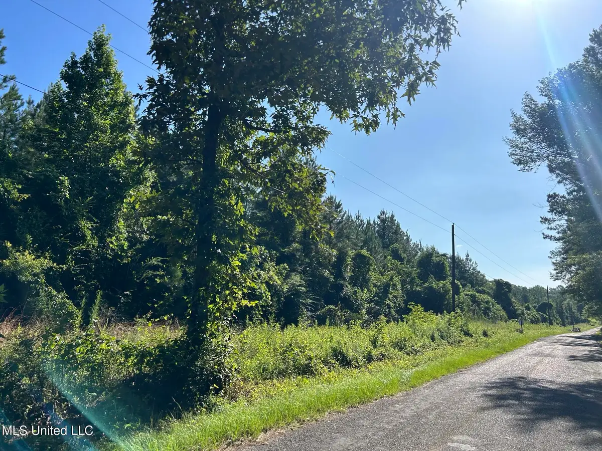 SE Mccullough Road, Bogue Chitto, MS 39629 - Image #1