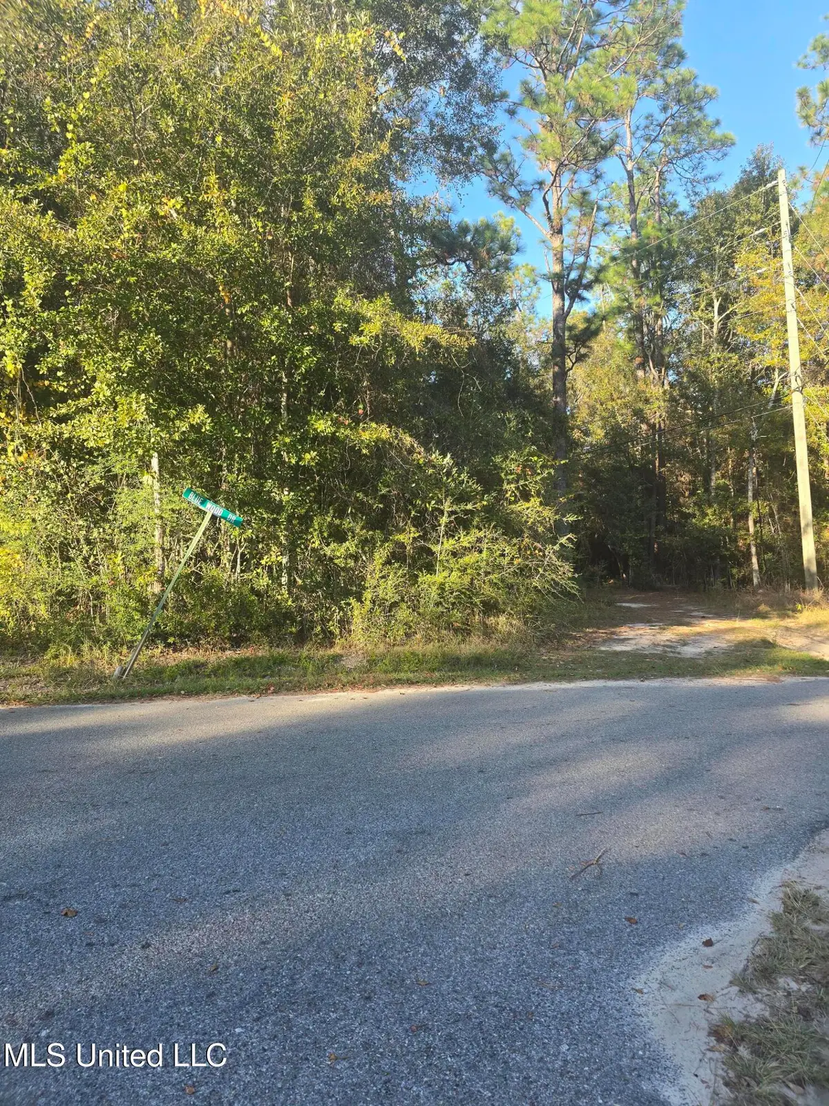 Bluewood Drive, Vancleave, MS 39565 - Image #1