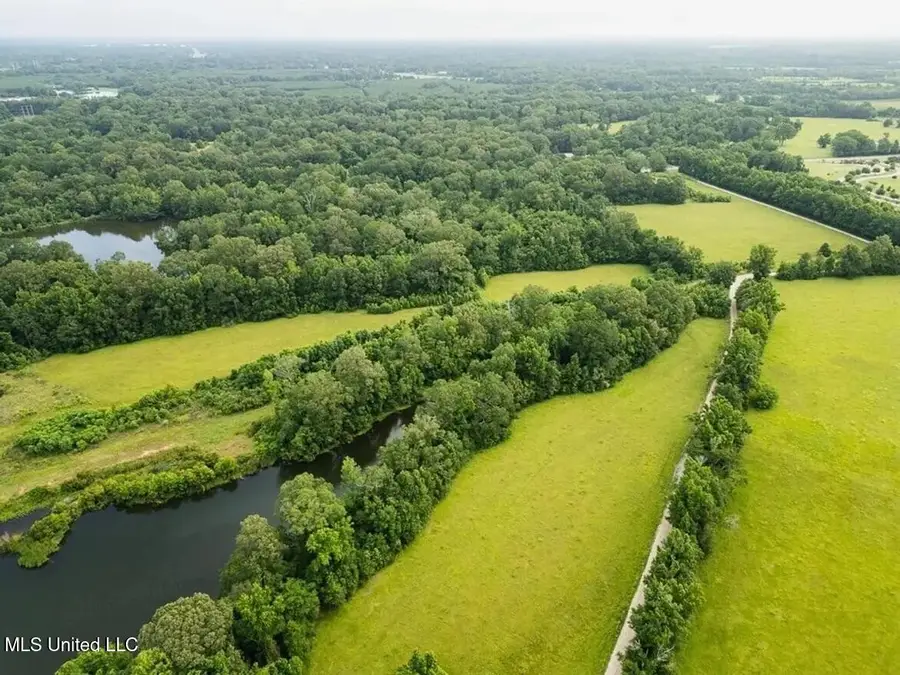 299 W Mount Pleasant Zachary Road, Zachary, LA 70791 - Image #3