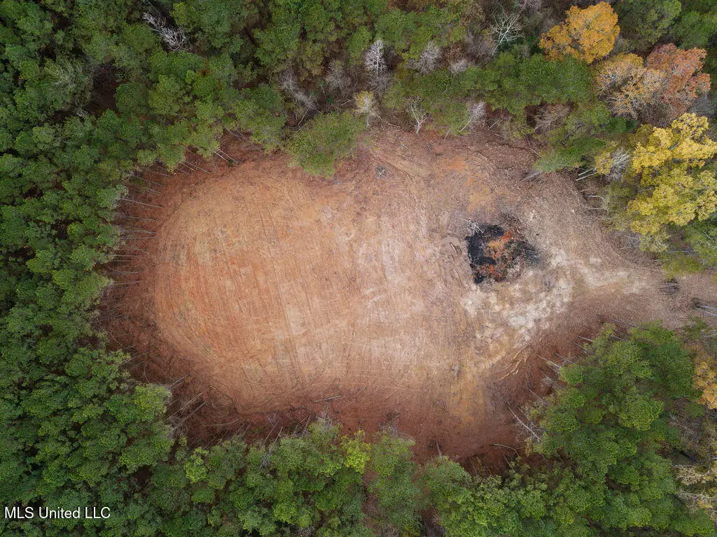 00002 Trickhambridge Road, Brandon, MS 39042 - Image #1