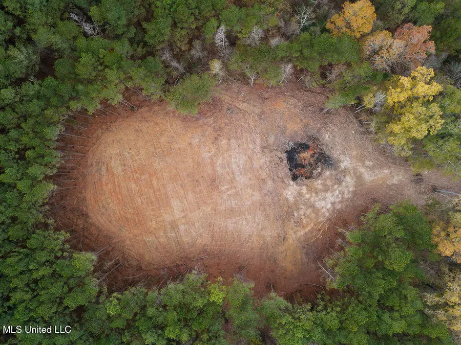 00002 Trickhambridge Road, Brandon, MS 39042 - Image #2