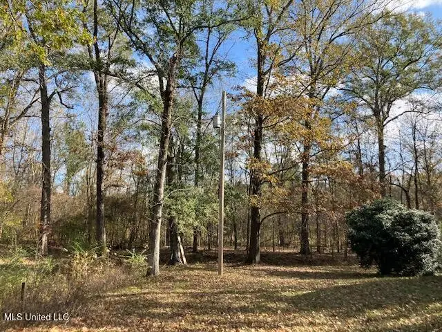 176 Patricia Cove, Raymond, MS 39154 - Image #2