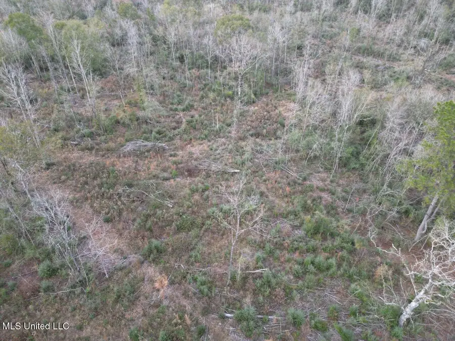 1191 Emma Kelly Road, Magnolia, MS 39652 - Image #3