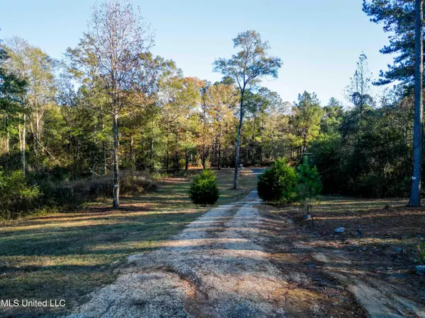 54 New Saint Paul Church Drive, Waynesboro, MS 39367