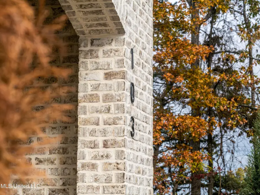 103 Silverleaf Drive, Madison, MS 39110 - Image #2