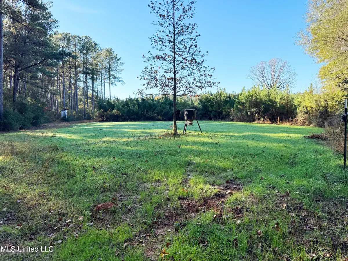 W Hwy 568, Magnolia, MS 39652 - Image #1