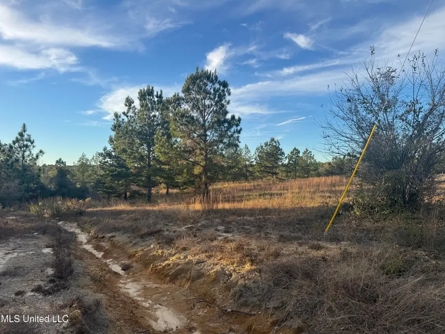 5 Acres Parker Rd, McHenry, MS 39561 - Image #3