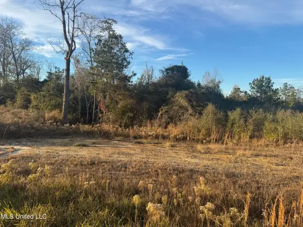 7 Acres Parker Road, McHenry, MS 39561
