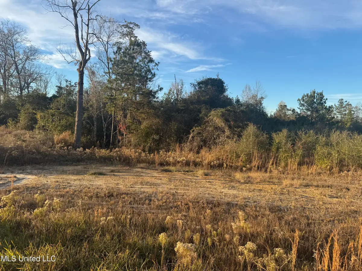 8 Acres Parker Rd, McHenry, MS 39561 - Image #1