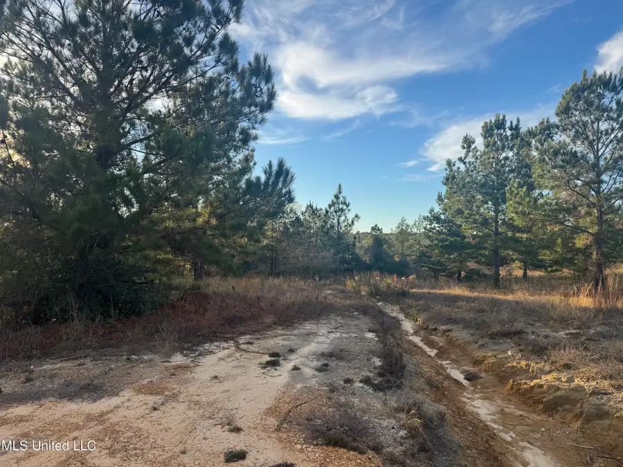 8 Acres Parker Rd, McHenry, MS 39561 - Image #3