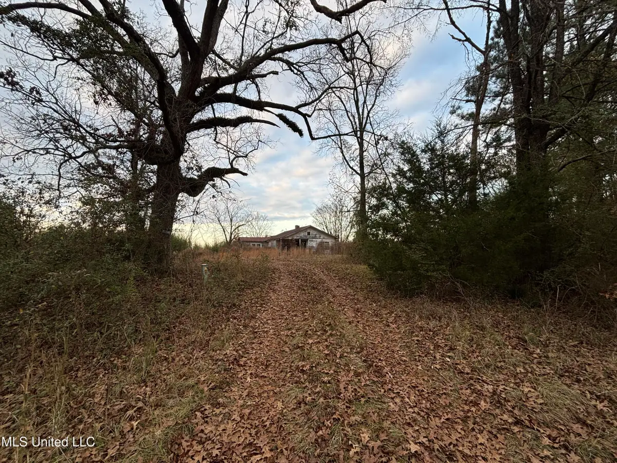 Roger Reid Road, Conehatta, MS 39057 - Image #1
