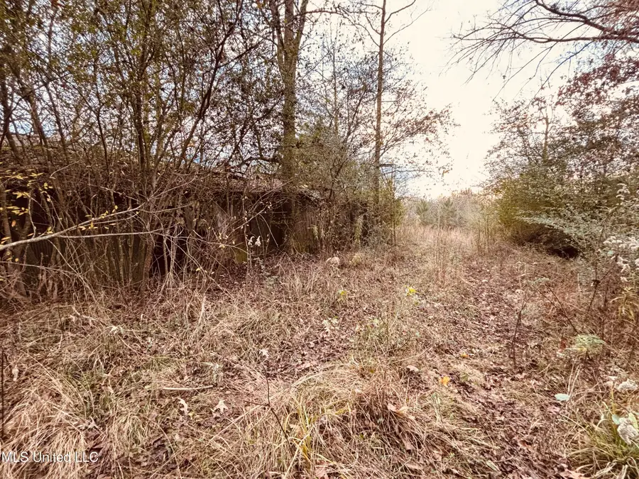 Roger Reid Road, Conehatta, MS 39057 - Image #3