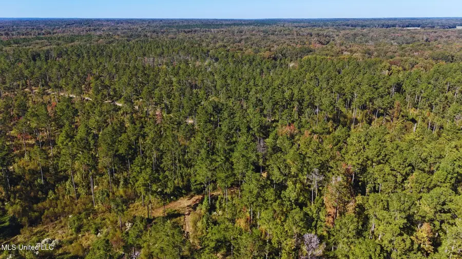 Ms-547, Port Gibson, MS 39150 - Image #2