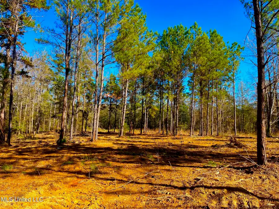 4001 Stegall Road, Wesson, MS 39191 - Image #2