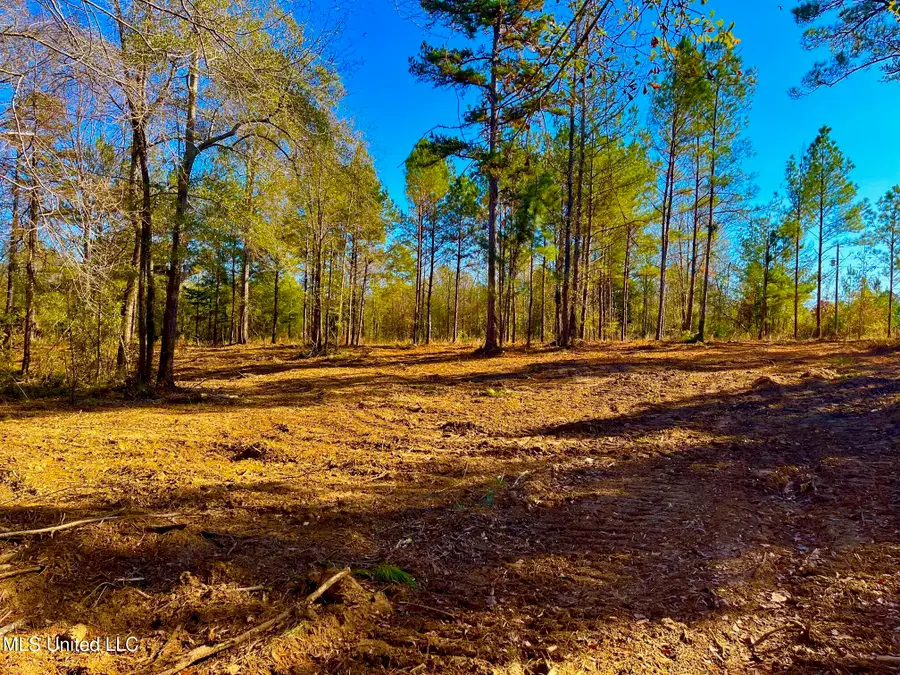 4001 Stegall Road, Wesson, MS 39191 - Image #3