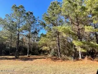 NE Linwood Lane, Brookhaven, MS 39601 - #1