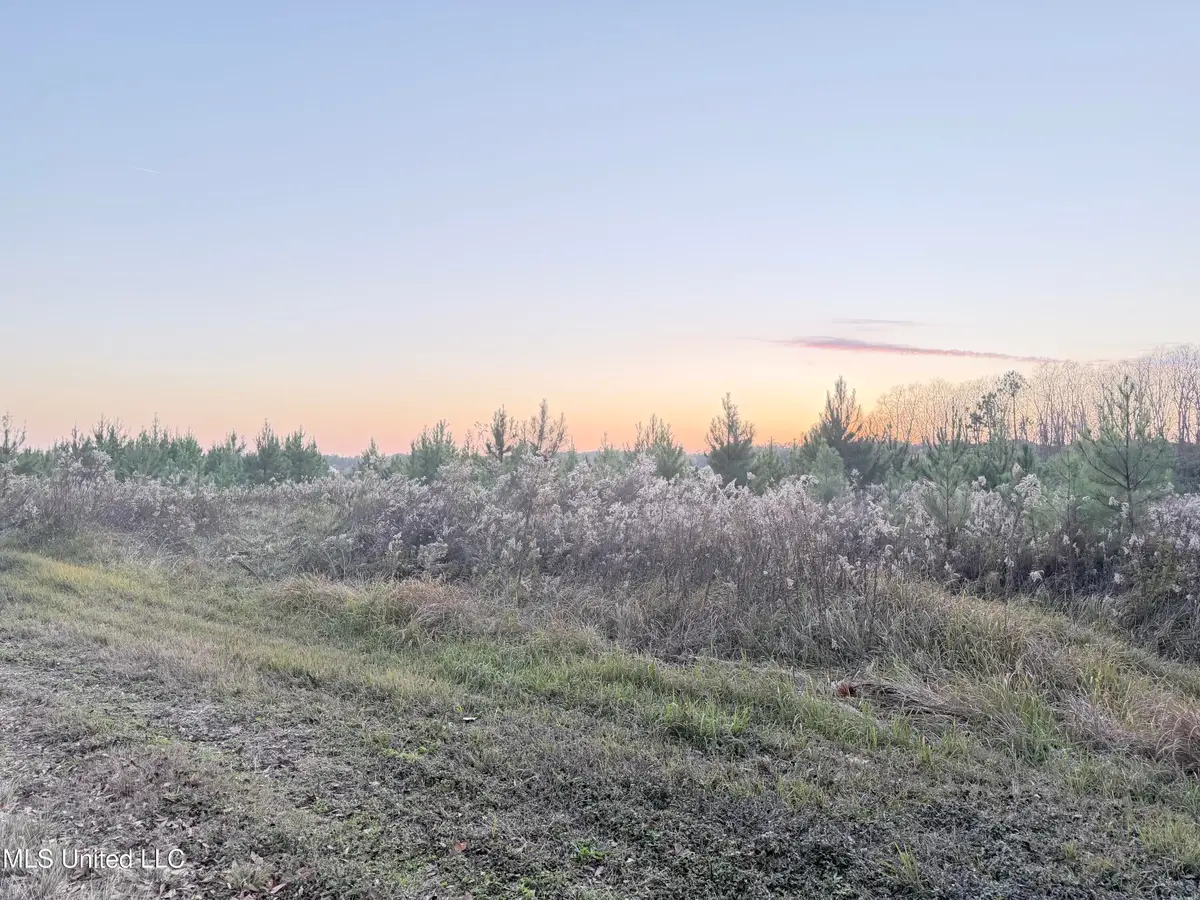 Eli Dudley Road, Moss Point, MS 39562 - Image #1