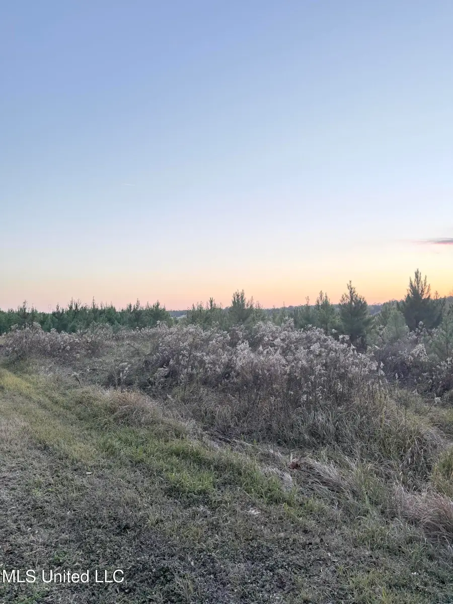 Eli Dudley Road, Moss Point, MS 39562 - Image #2