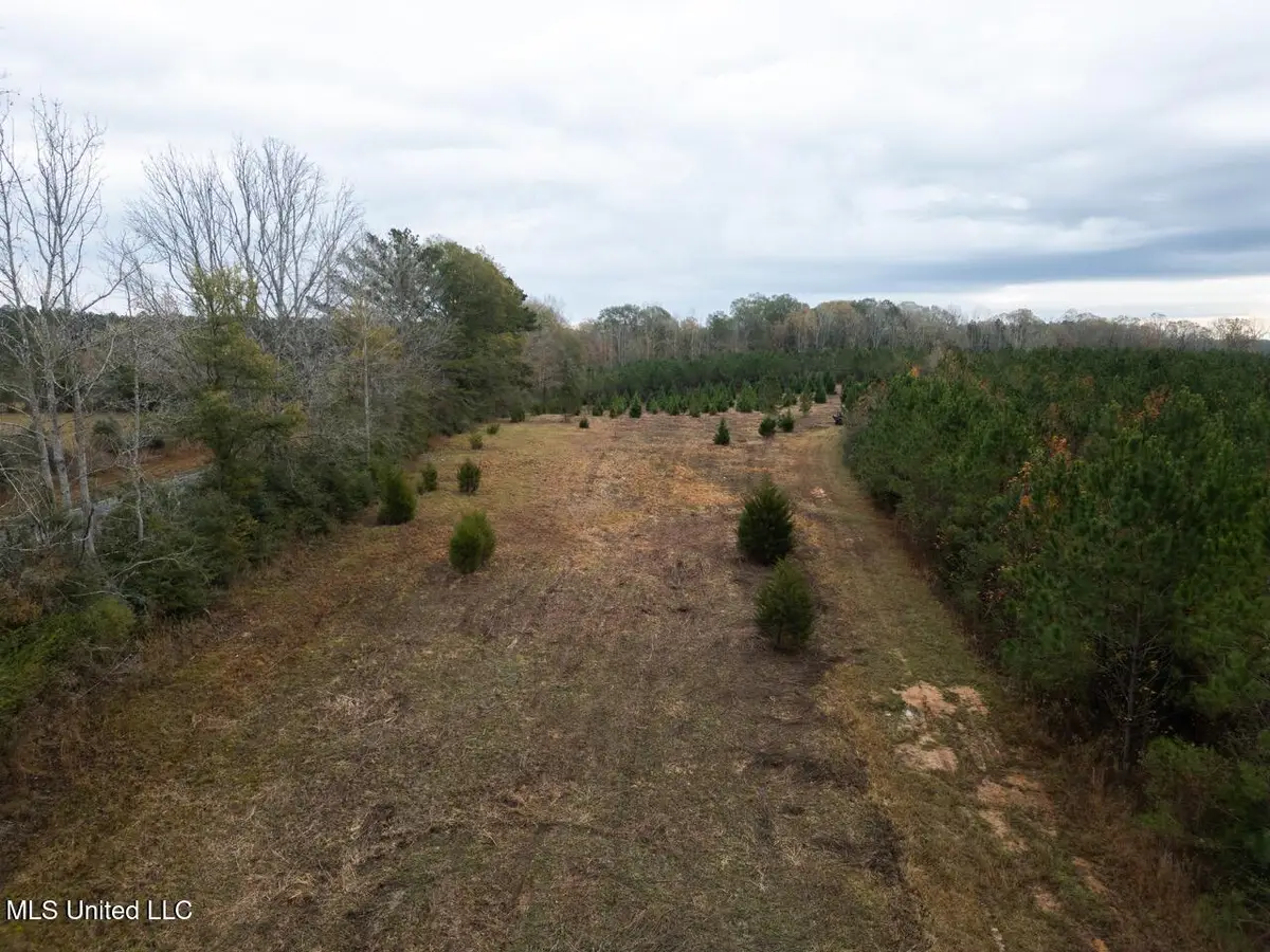 3448 Lower Centreville Road, Liberty, MS 39645 - Image #1