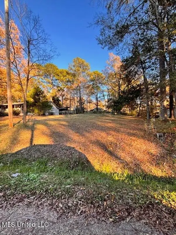 130 Hemlock Drive, Richland, MS 39218 - Image #1