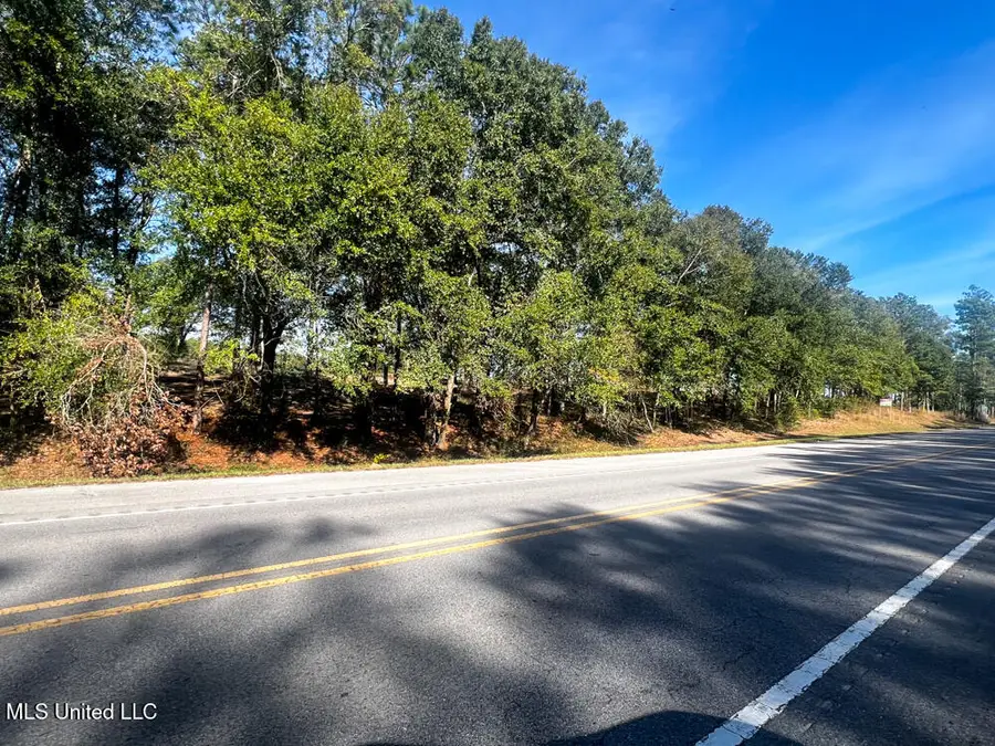 E Highway 198, Lucedale, MS 39452 - Image #2