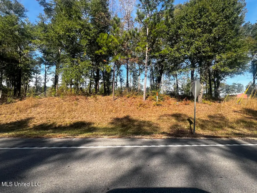 E Highway 198, Lucedale, MS 39452 - Image #3