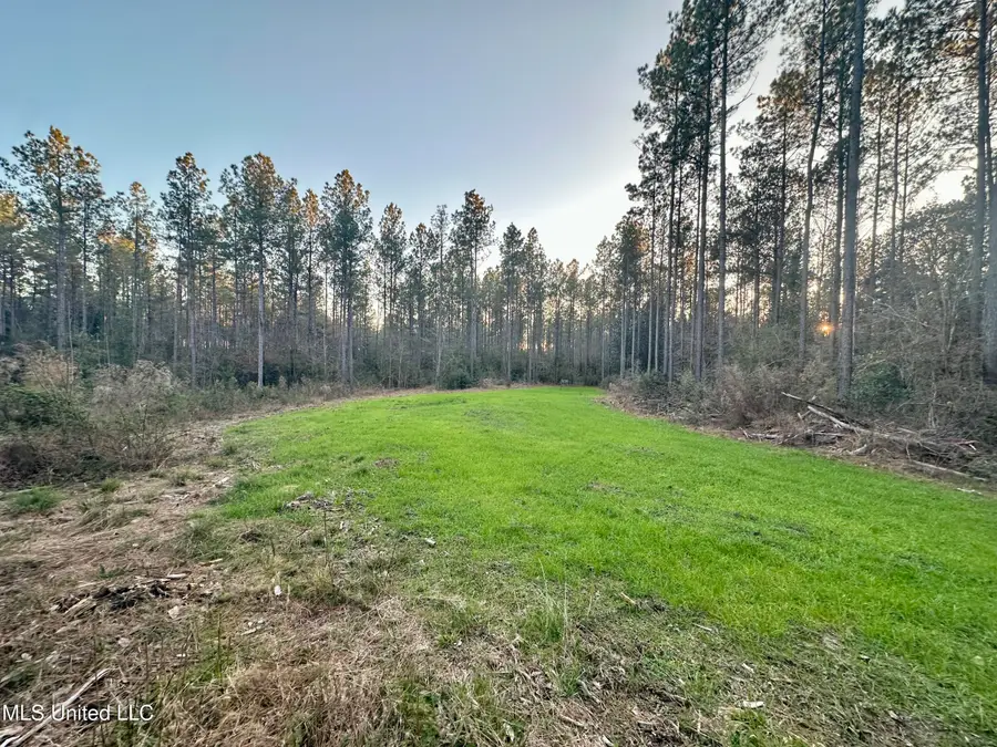 000 Monticello Road, Wesson, MS 39191 - Image #3