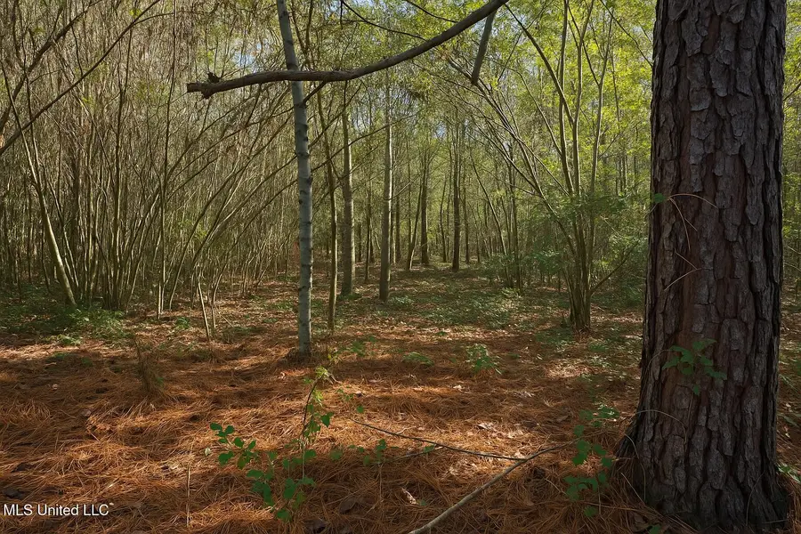 000 Highway 513, Enterprise, MS 39330 - Image #2