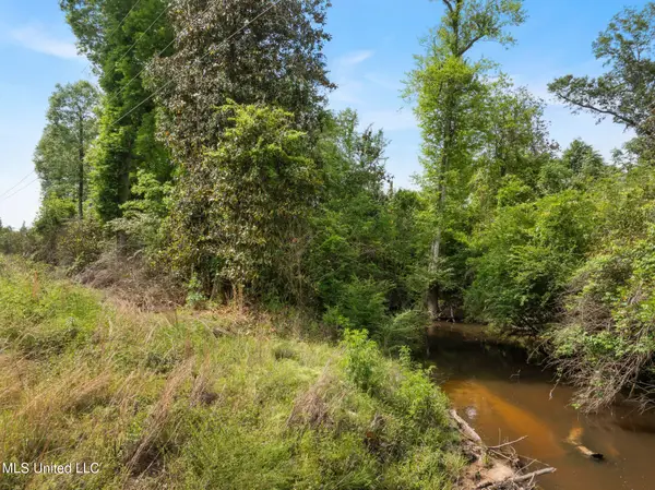 81.64 Acres William Warren Road, Collins, MS 39428