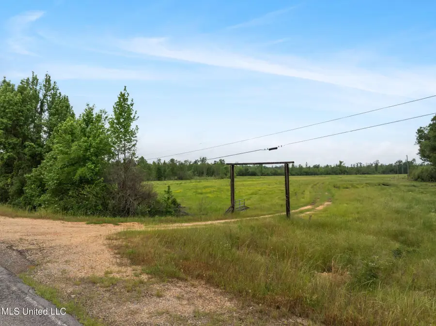 81.64 Acres William Warren Road, Collins, MS 39428 - Image #2