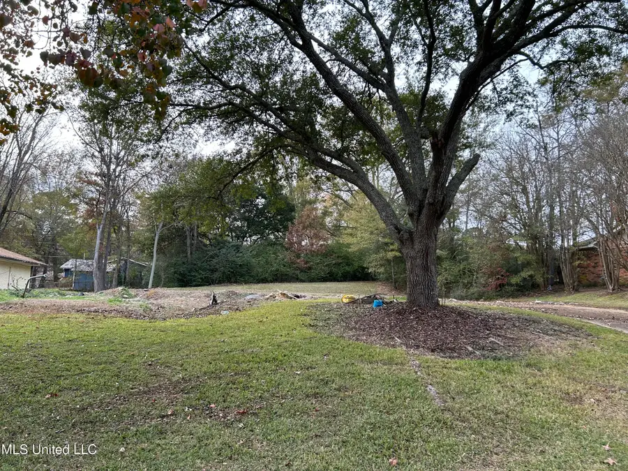 Meadow Ln Circle, Clinton, MS 39056 - Image #3