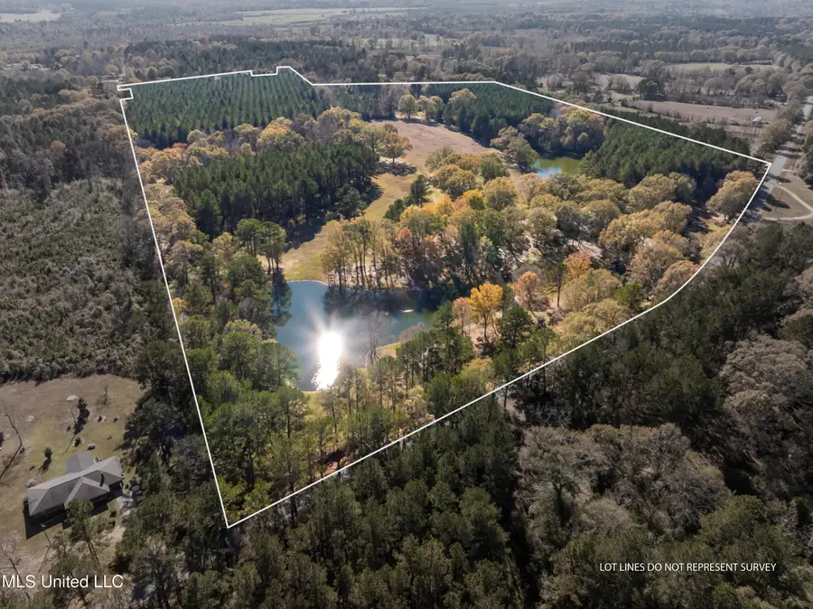 5844 N Williamsburg Road, Bassfield, MS 39421 - Image #3