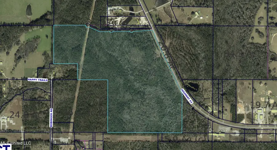 Lot 3 Hwy 43, Kiln, MS 39556 - Image #2