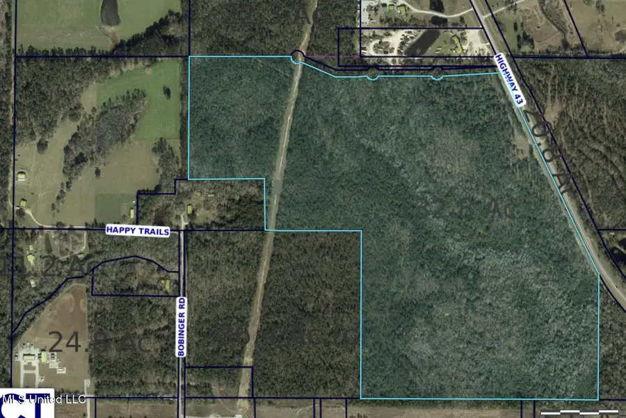 Lot 4 Hwy 43, Kiln, MS 39556 - Image #2