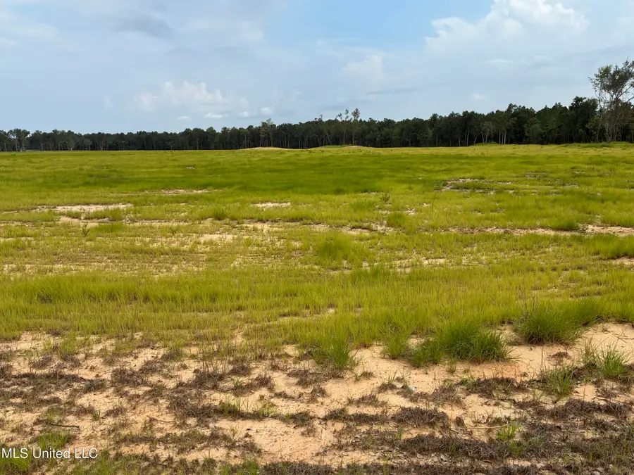 Lot 5 Hwy 43, Kiln, MS 39556 - Image #2