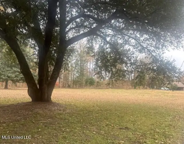 7 Rolling Hill Road, Vicksburg, MS 39183 - Image #2