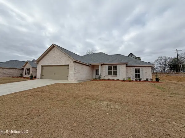 204 Anderson Oaks Drive, Pearl, MS 39208