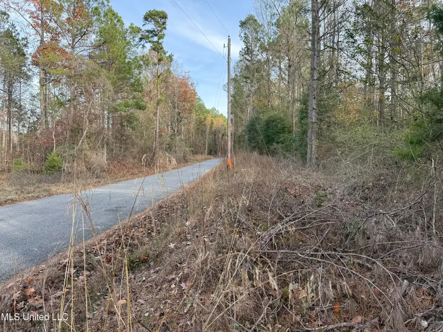 Levi Cooper Road, Braxton, MS 39044 - Image #2