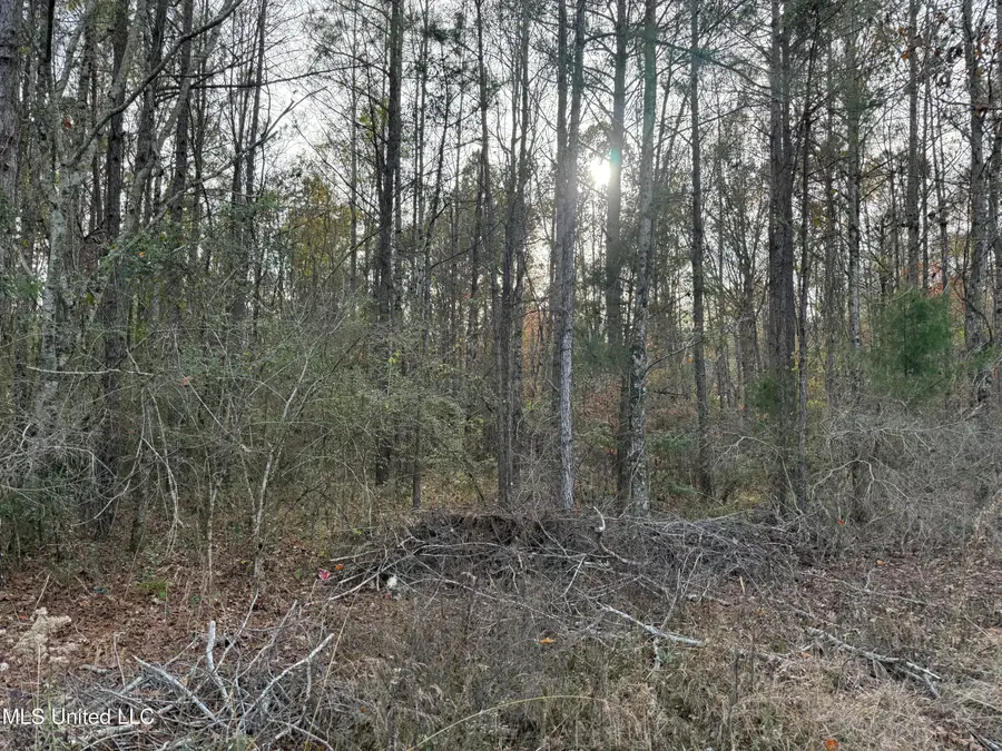 Levi Cooper Road, Braxton, MS 39044 - Image #3