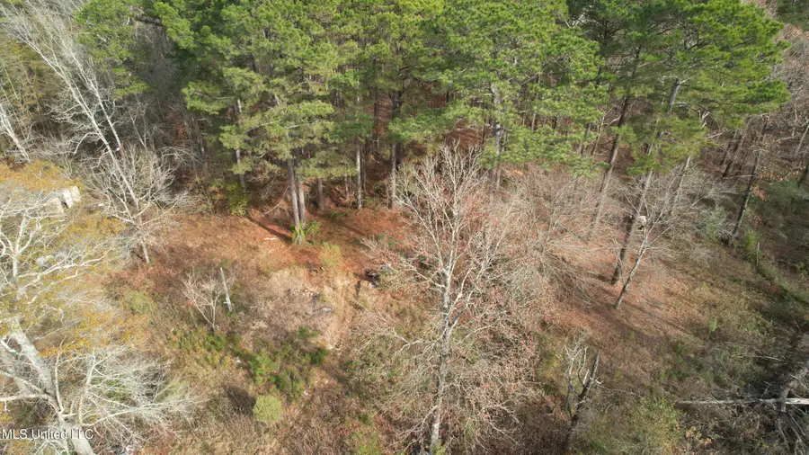 510 Jared Drive, Brandon, MS 39042 - Image #3