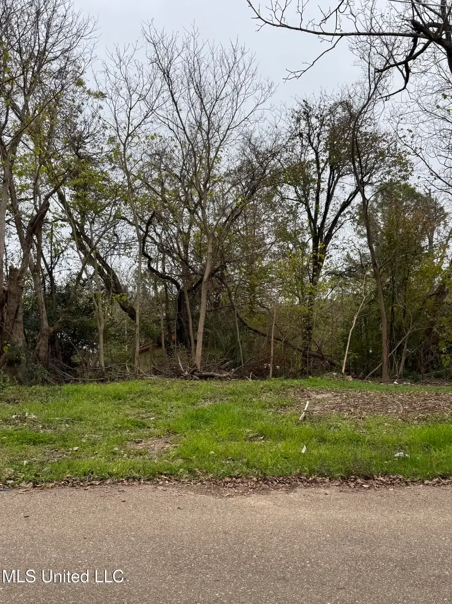 1010 Ethel Street, Yazoo City, MS 39194 - Image #2