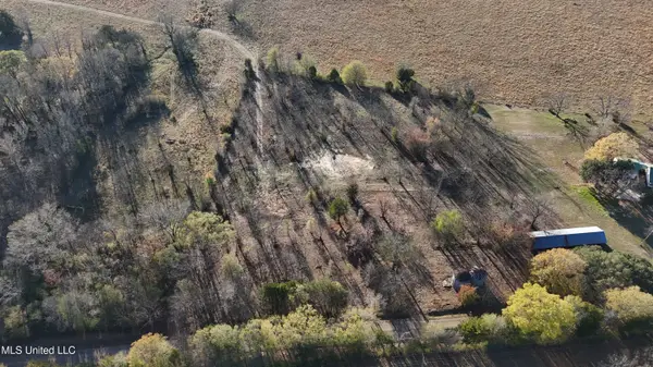 0 Potluck Road, Canton, MS 39046