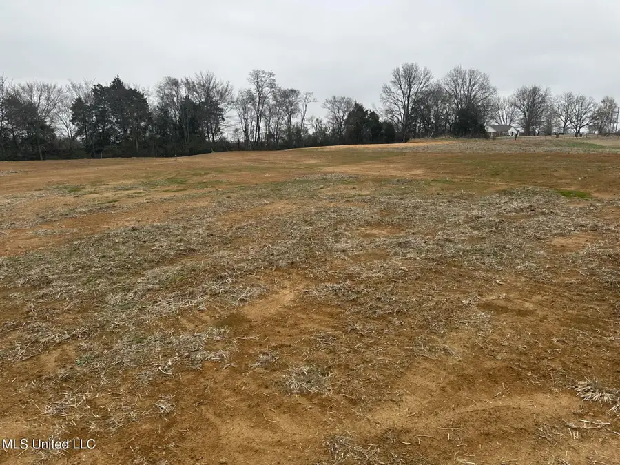 1 Bett Road, Coldwater, MS 38618 - Image #2