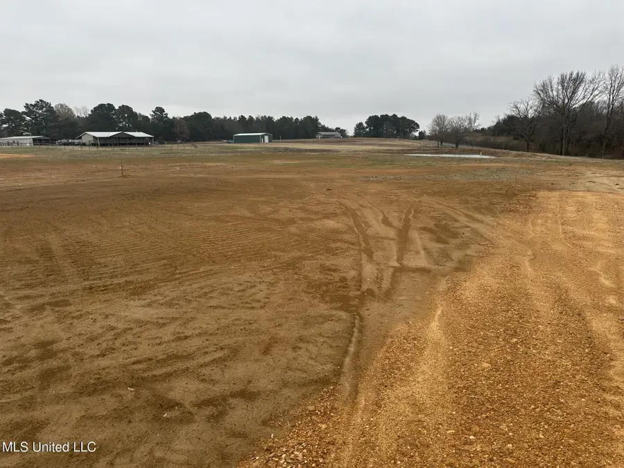 1 Bett Road, Coldwater, MS 38618 - Image #3